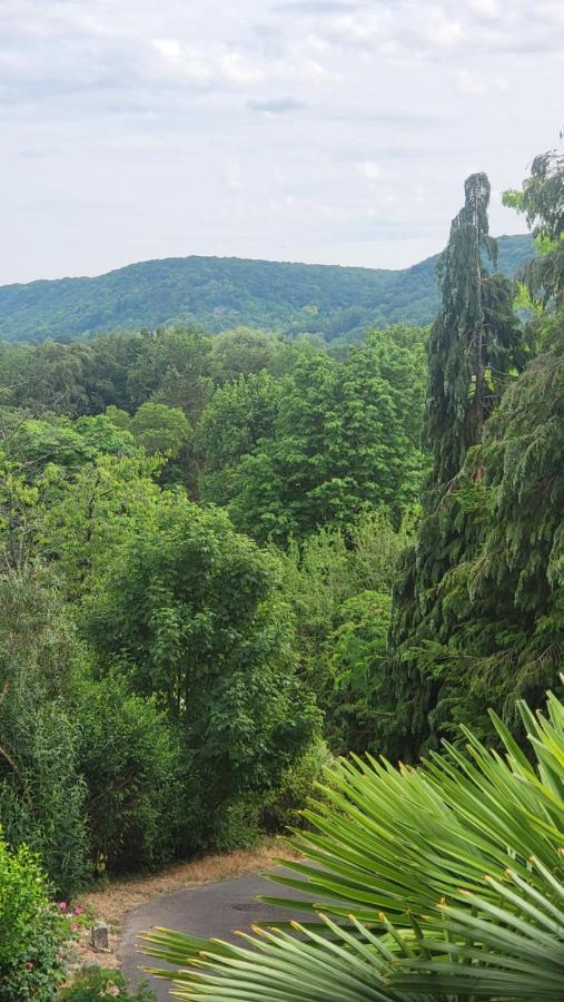 The View Bed & Breakfast Giverny Luaran gambar